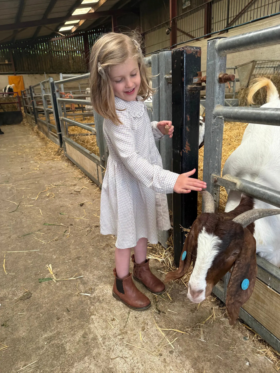 Isla Country Tattersall Dress