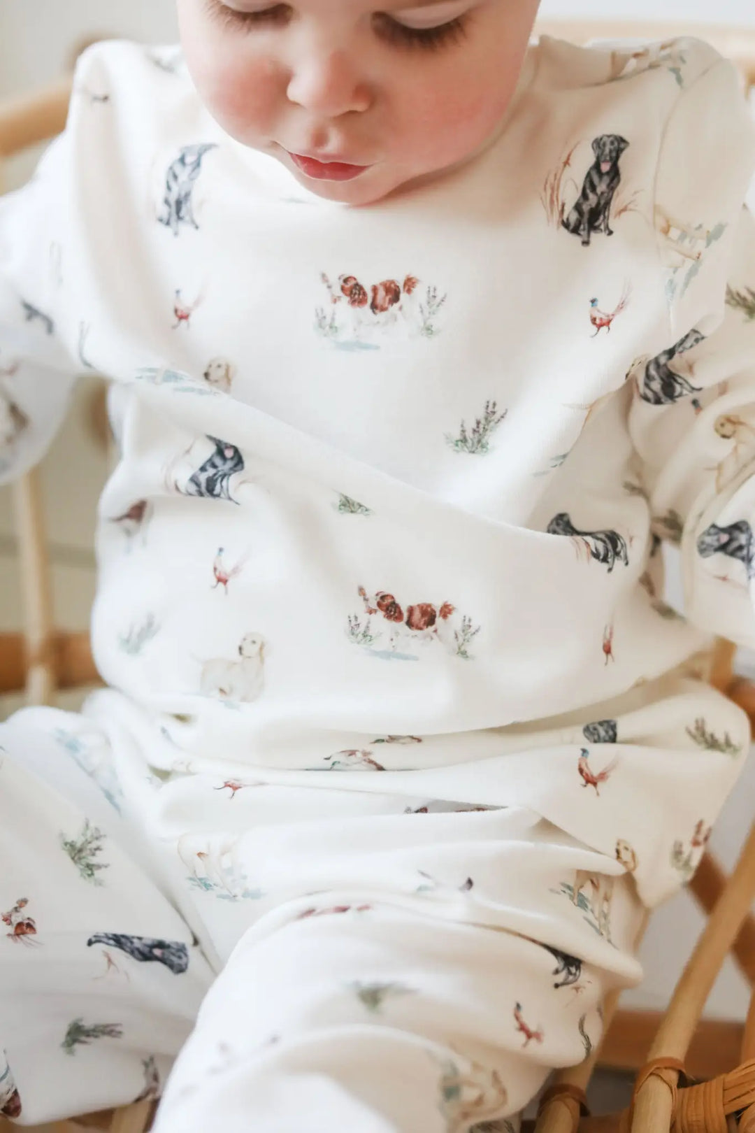 Dog Pyjamas (1 - 5 years)