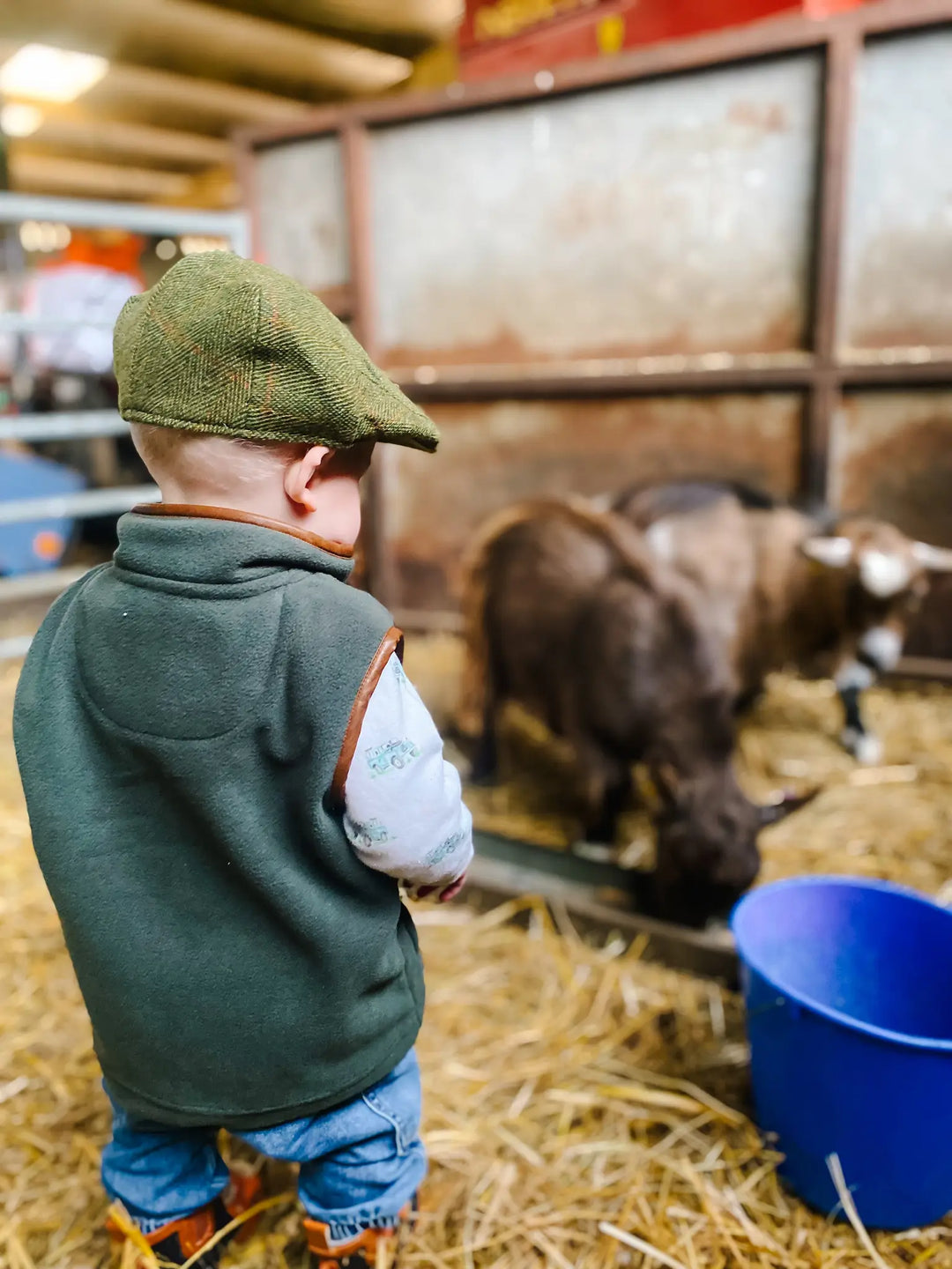 Mini Fleece Gilet - Forest Green (3 months - 5)
