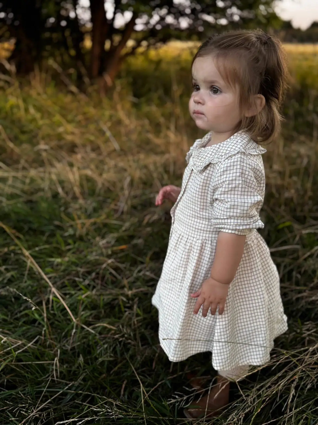 Isla Country Tattersall Dress
