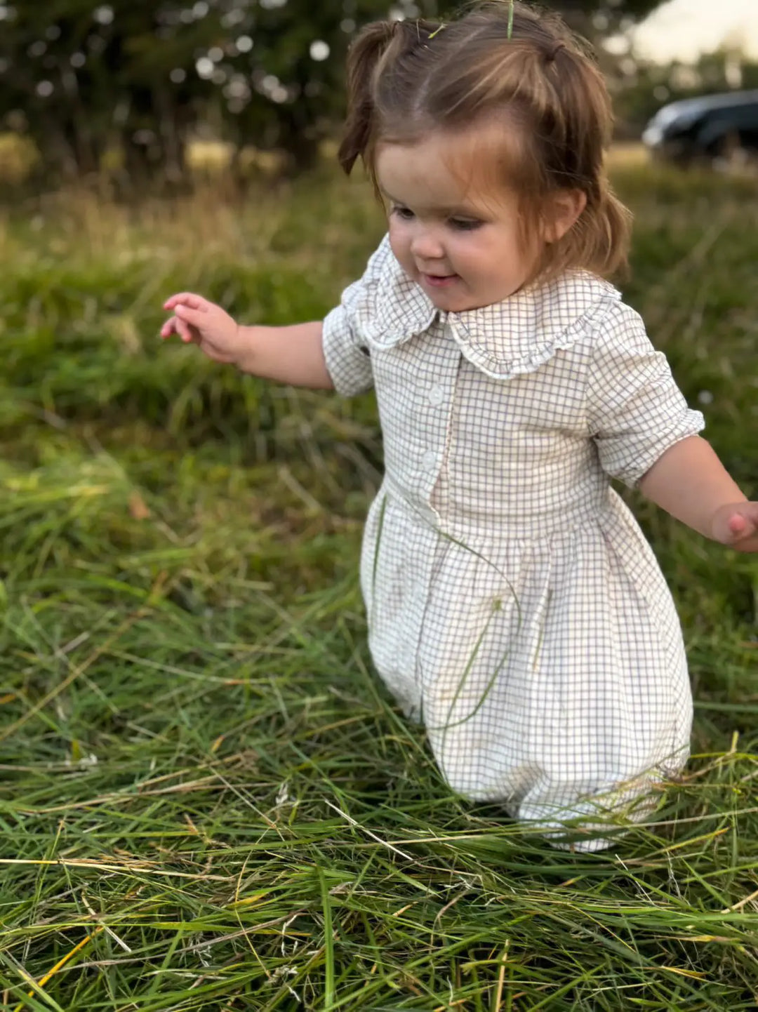 Isla Country Tattersall Dress