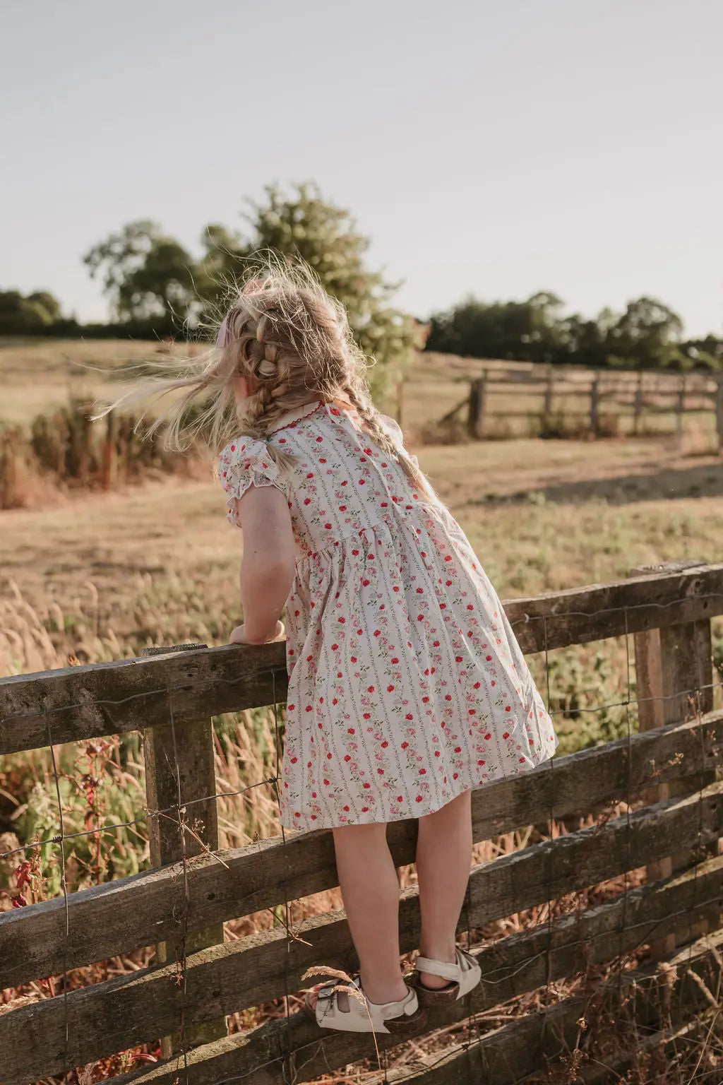 Felicity Poplin Dress