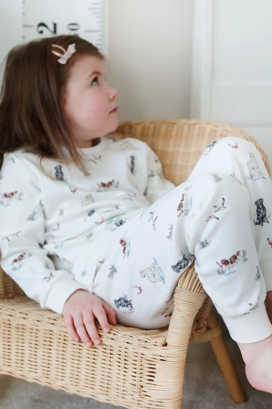 Dog Pyjamas (1 - 5 years)