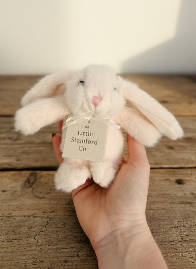 Mini Bunny Soft Toy