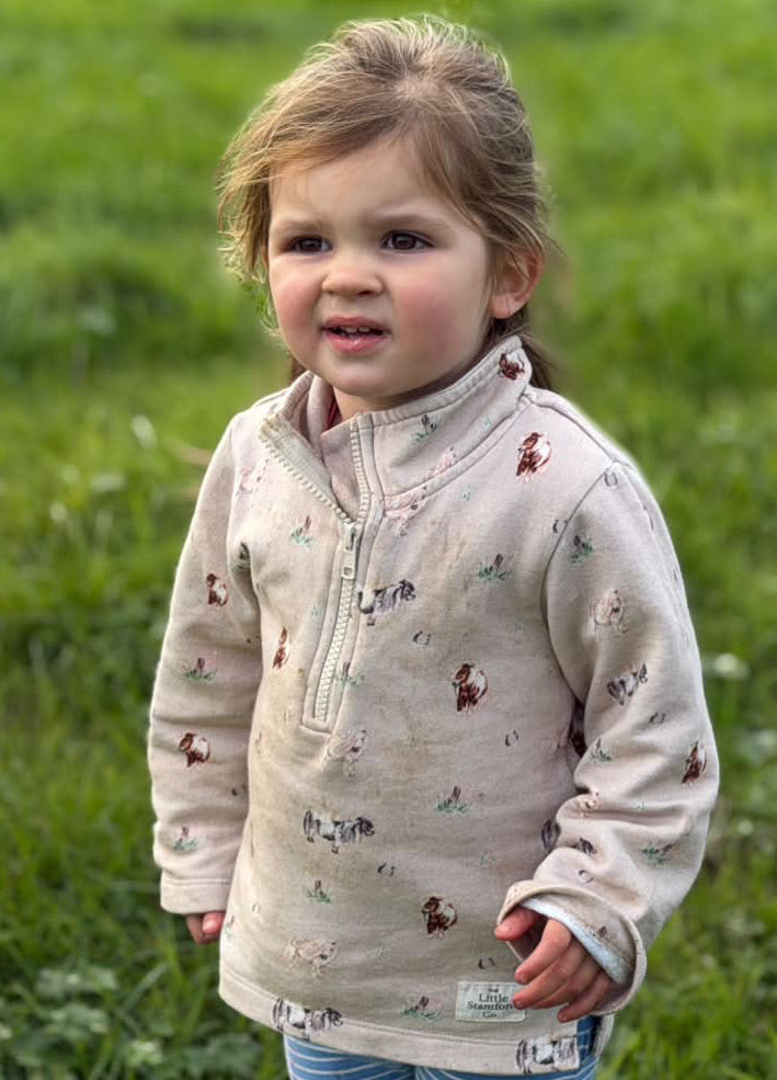 Shetland Pony half zip sweatshirt (new style)