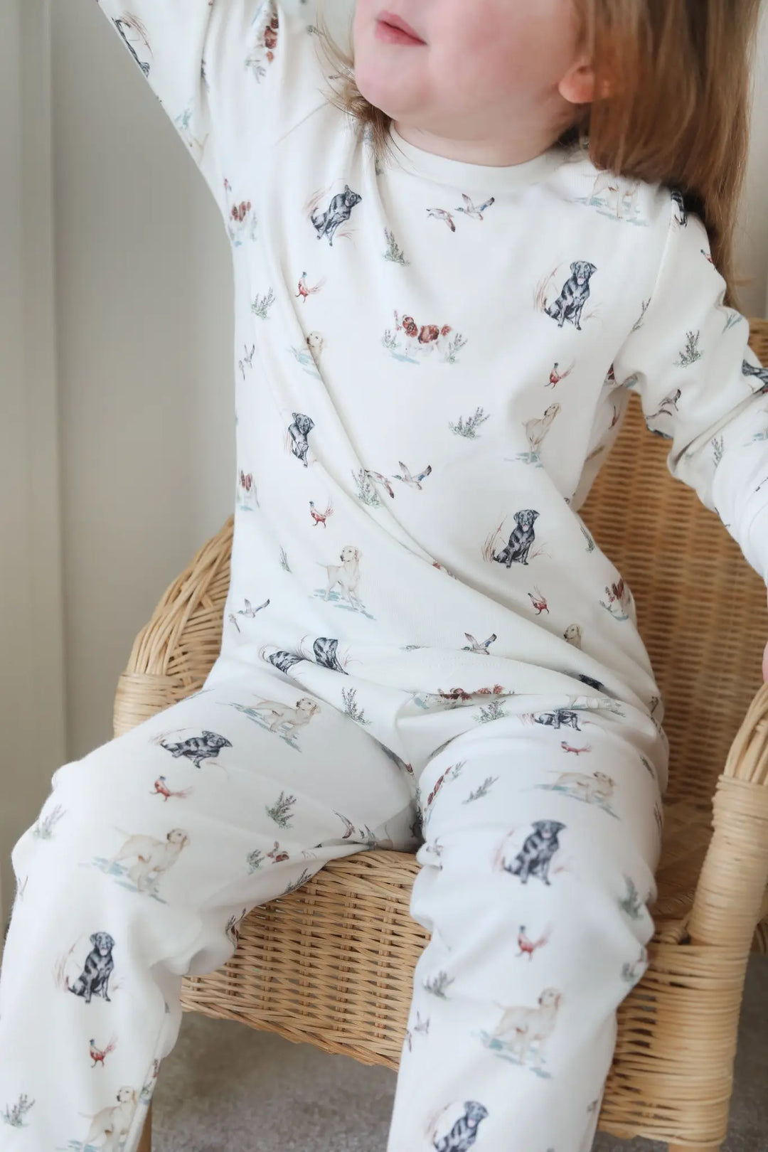 Dog Pyjamas (1 - 5 years)
