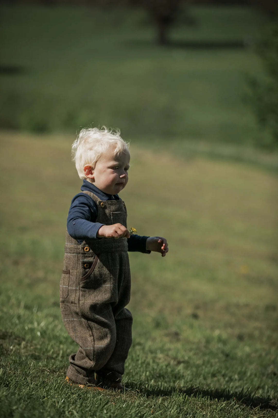 Heritage tweed dungarees