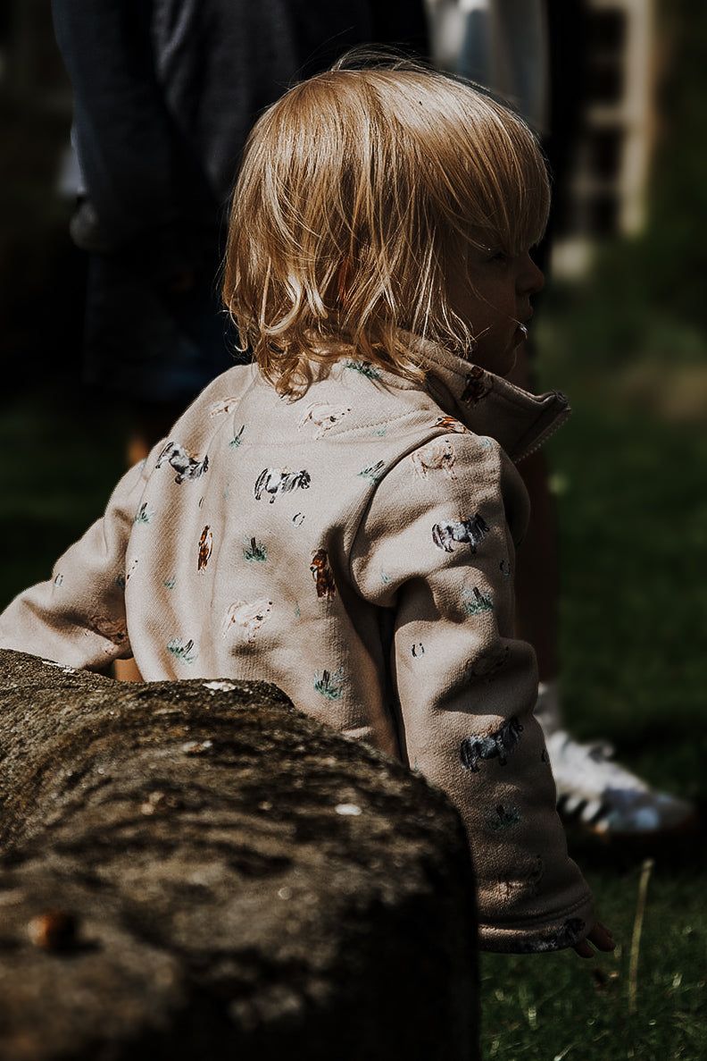Pony organic cotton half zip sweatshirt (3 months - 5 years)