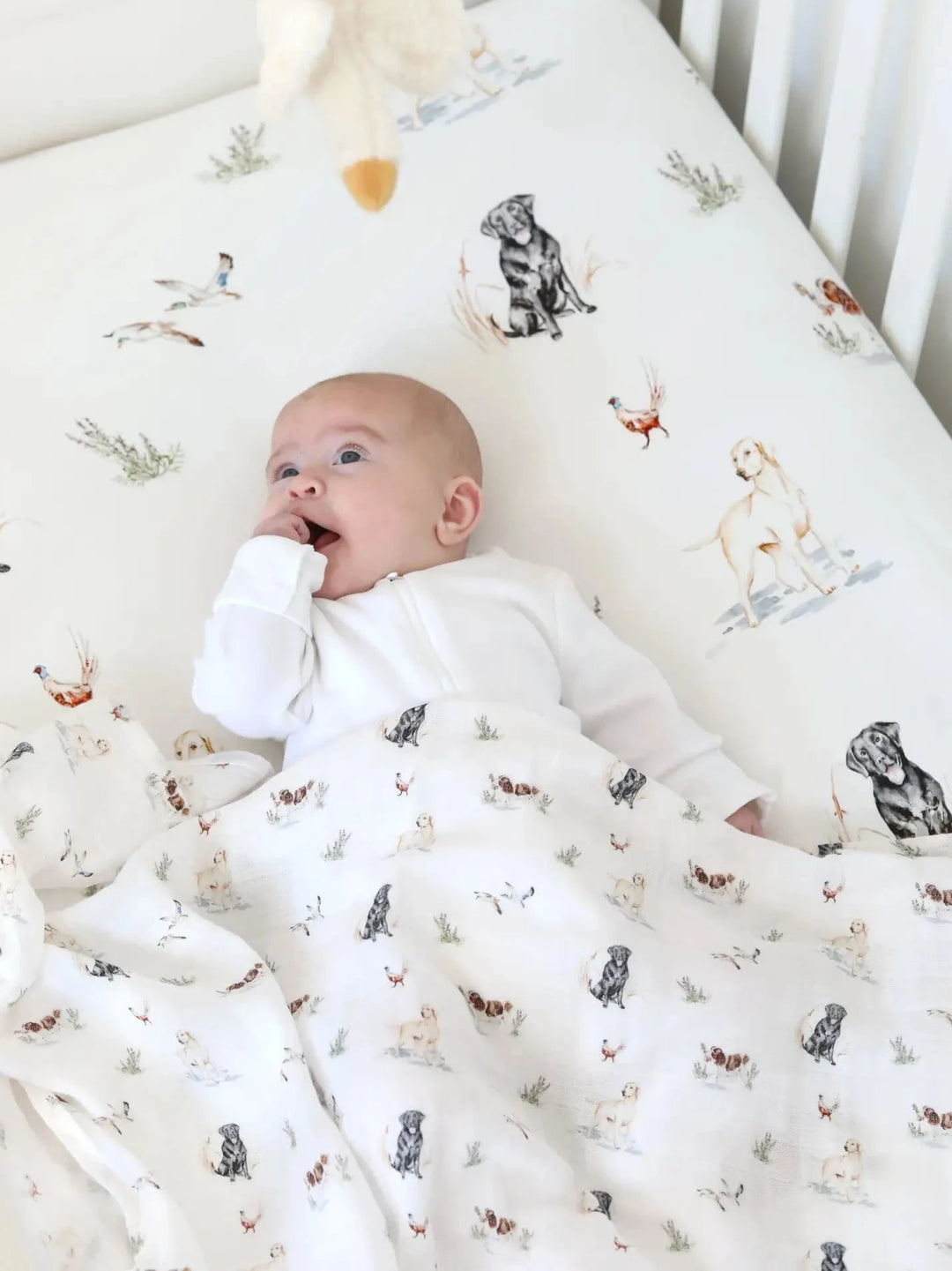 Dog cotbed sheet (organic cotton)