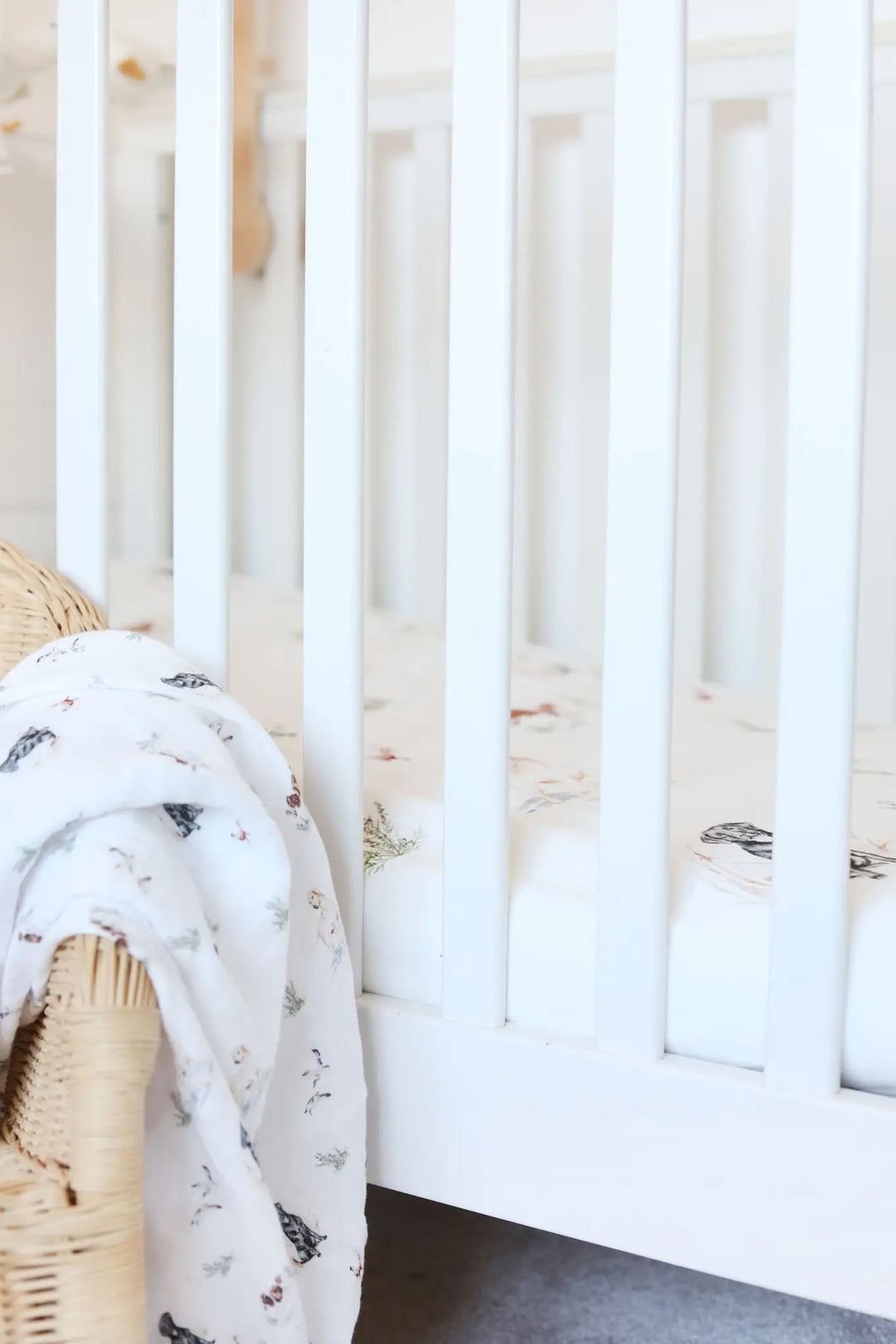 Dog cotbed sheet (organic cotton)