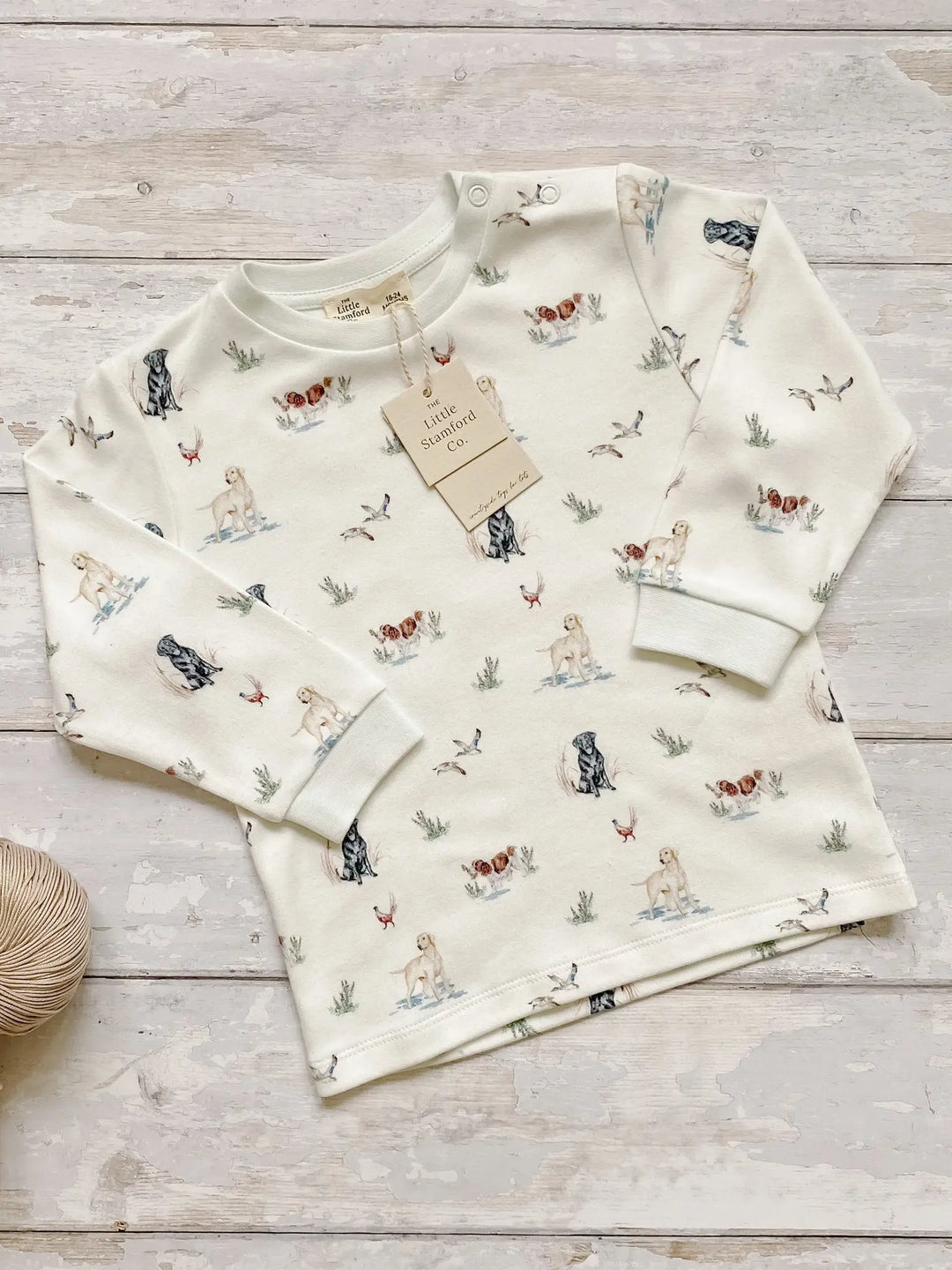 Dog print (Labrador / spaniels) baby & child sweatshirt