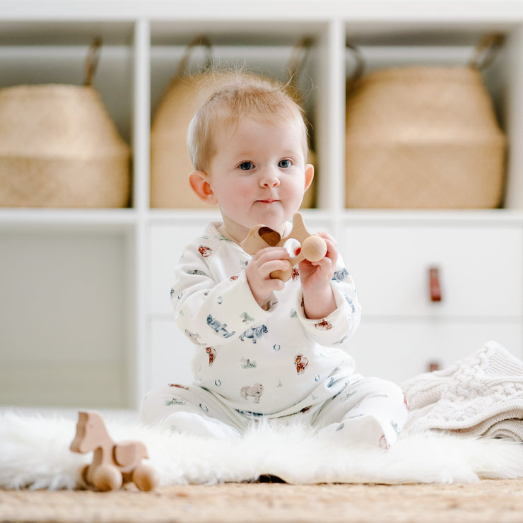 Wooden Dog Toy